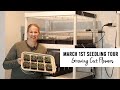 March 1st seedling tour of my cut flowers  sunshine and flora urban flower farm