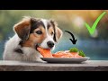 10 HEALTHY Human Foods That Are Good for Your Dog