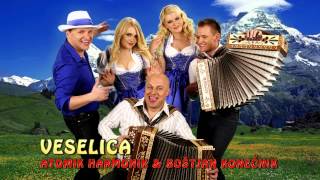 ATOMIK HARMONIK & BOŠTJAN KONEČNIK - Veselica