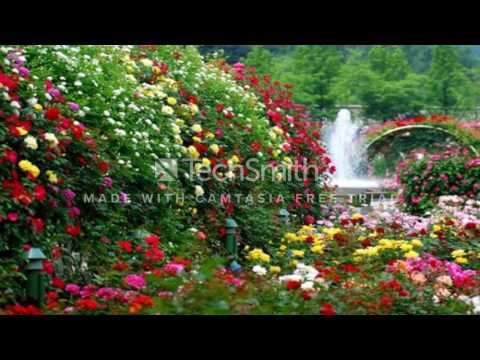 Емил Боболев Един майски ден