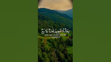 سورة النور من آية ٣٦ الى نصف آية ٣٧/محمد اللحيدان