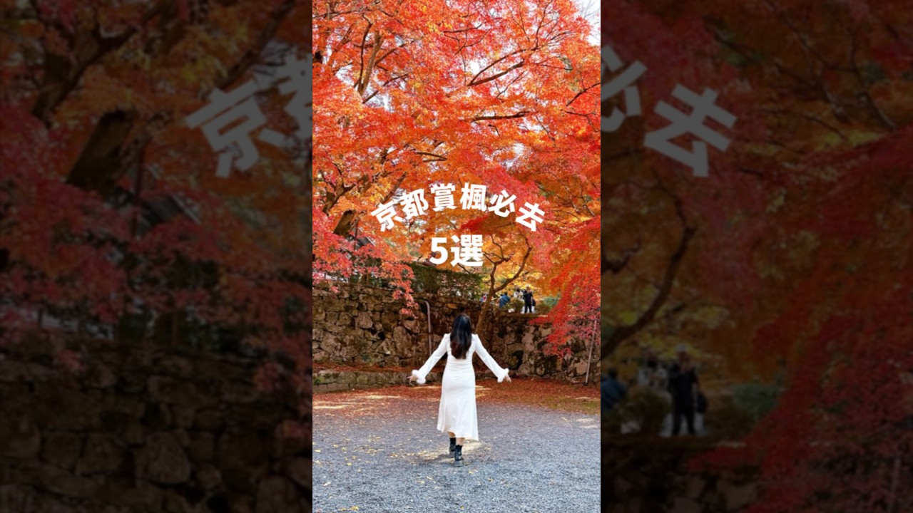 #京都賞楓必去五選 一天打卡五大楓葉聖地 #日本 #京都 #楓葉 #japan #kyoto 縮圖