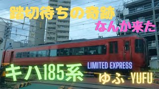 特急ゆふ4号　キハ185系