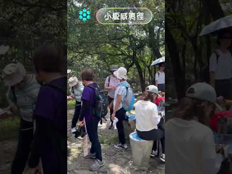 202605小夏威夷徑