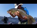 Big fish several ways NCOR Vid July 31,18