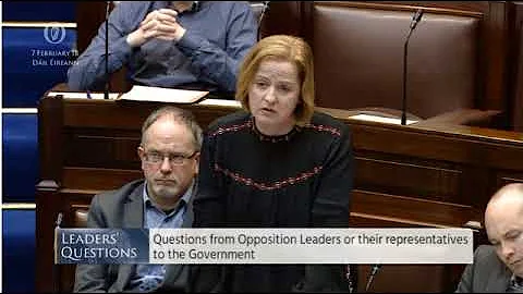 Ruth Coppinger TD - Coveney's 'abortion on rape grounds' is unworkable