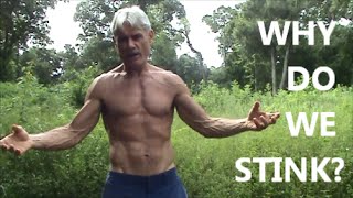 Why Do We Stink?