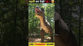 🌍 3 Amazing Facts About Nature!#facts #hindi