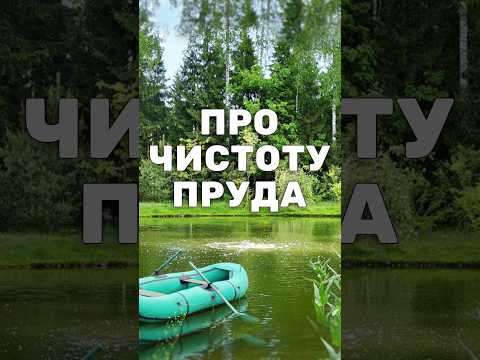 Video: Pionersky Pond: poloha rybníka, jak se tam dostat, dobrý odpočinek, skvělý rybolov a recenze s fotografiemi