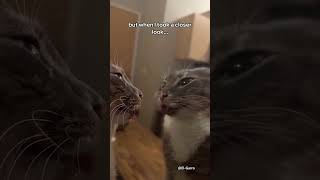 Try Not To Get Scared...