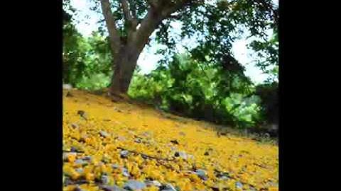 หาไม่เจอ หรือเธอไม่มี