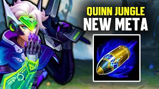 Il PERMA 1V9 en CHALLENGER avec QUINN JUNGLE FIRST STRIKE