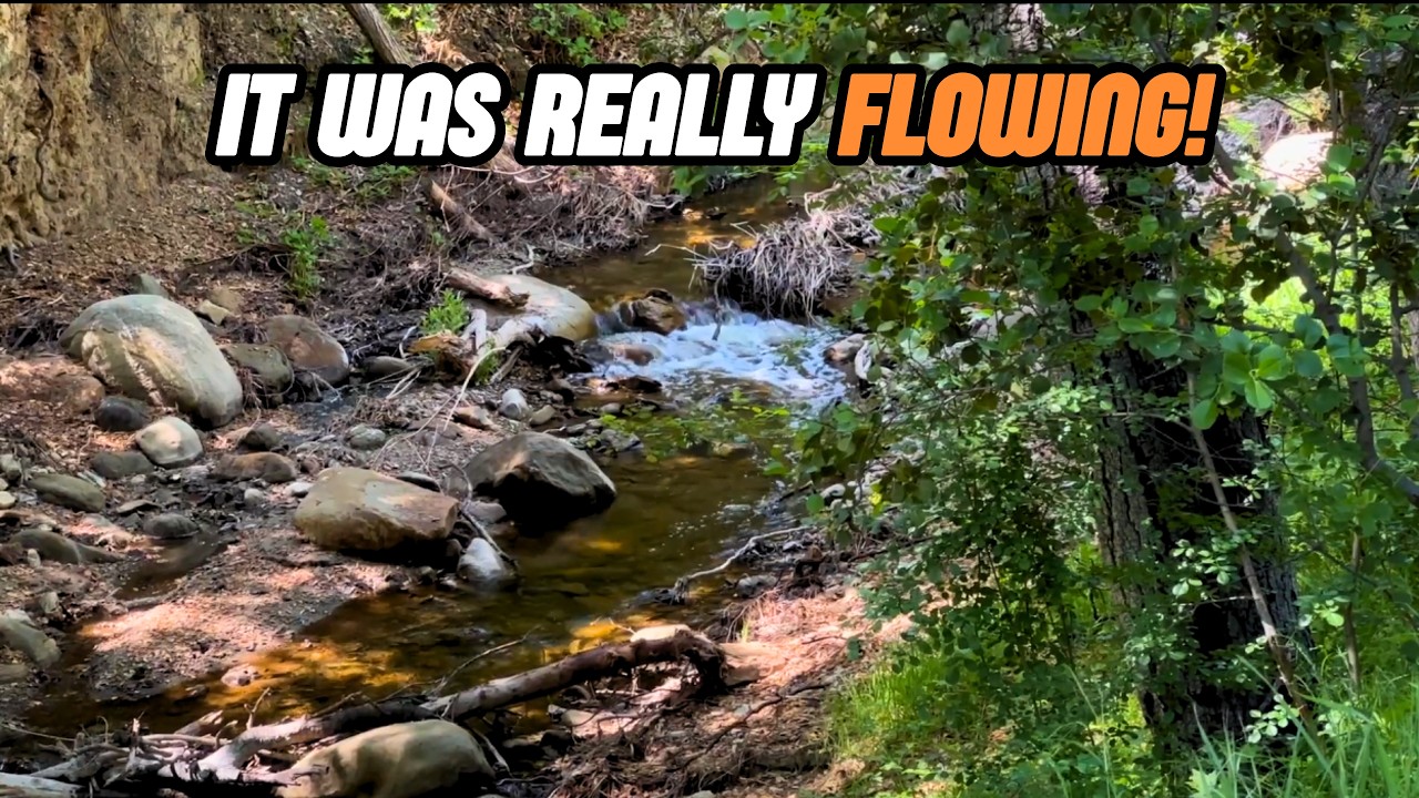 Rice Canyon Creek Hike — Santa Clarita, California
