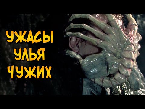 Видео: Ужасы улья Ксеноморфов