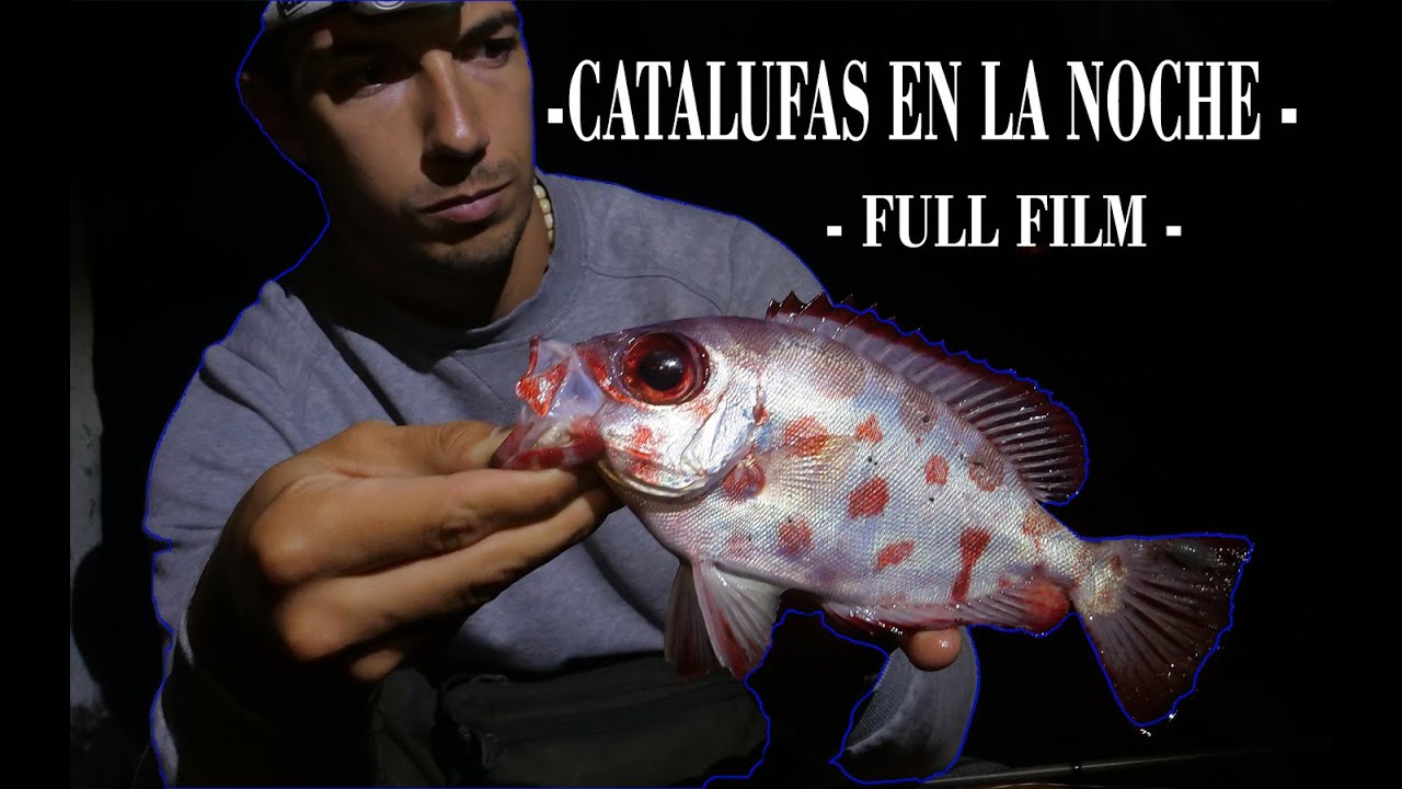 PESCA ROCKFISHING EN TENERIFE🔥 "CATALUFAS EN LA NOCHE" 🔥FULL FILM (Documental)