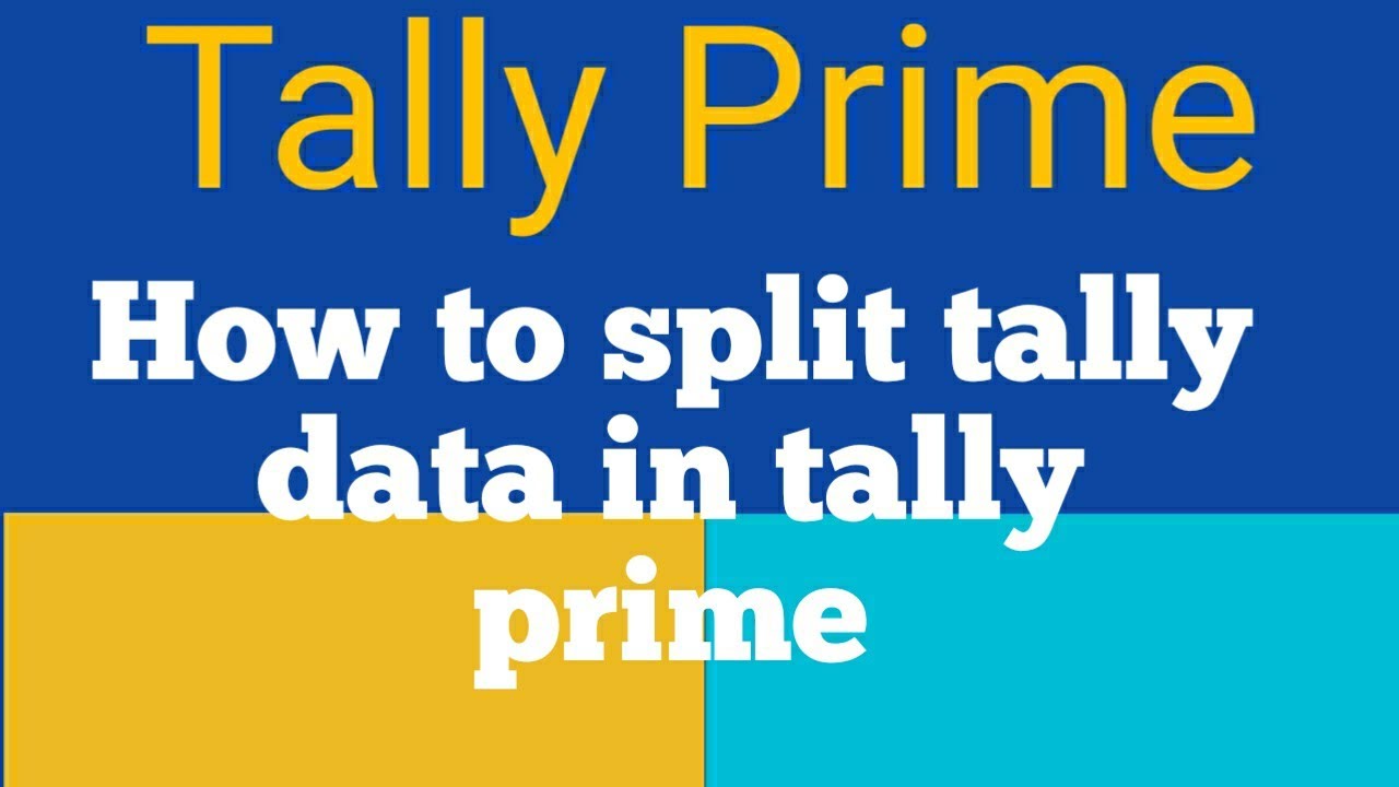 How To Split Tally Data In Tally Prime tally Prime Tutorial YouTube