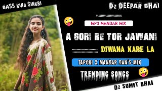 A Gori re Tor Jawani Diwana Karela ‼️ Nagpuri Tapori X Mandar Mix ‼️ Dj DeEpAk x SUMIT BhAi🎧
