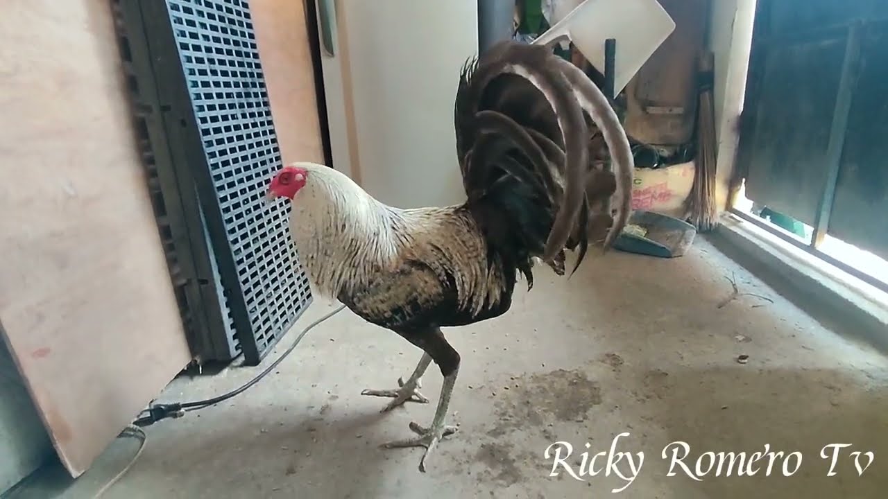 BATMAN BULIK AT PUMPKIN SWEATER