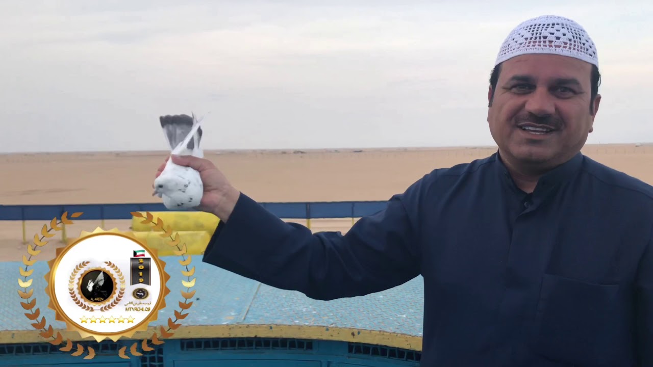 حمام لوت (دورة لوت ولون الثانية لموسم 2019 مقابلة السيد/ يعقوب الجميعي)