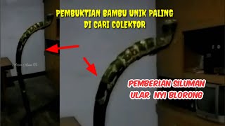 🔴Unboxing Pusaka Ular Nyi Blorong
