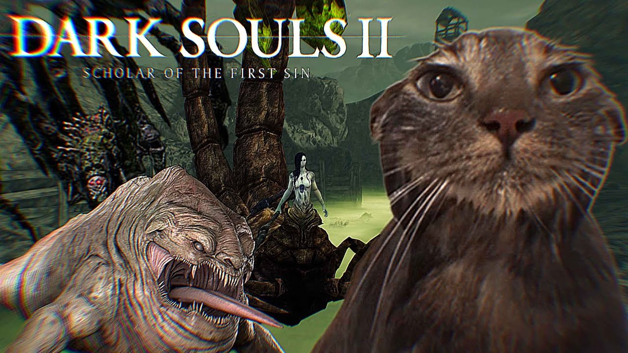 Dark souls 2 has some of the bosses of all time...