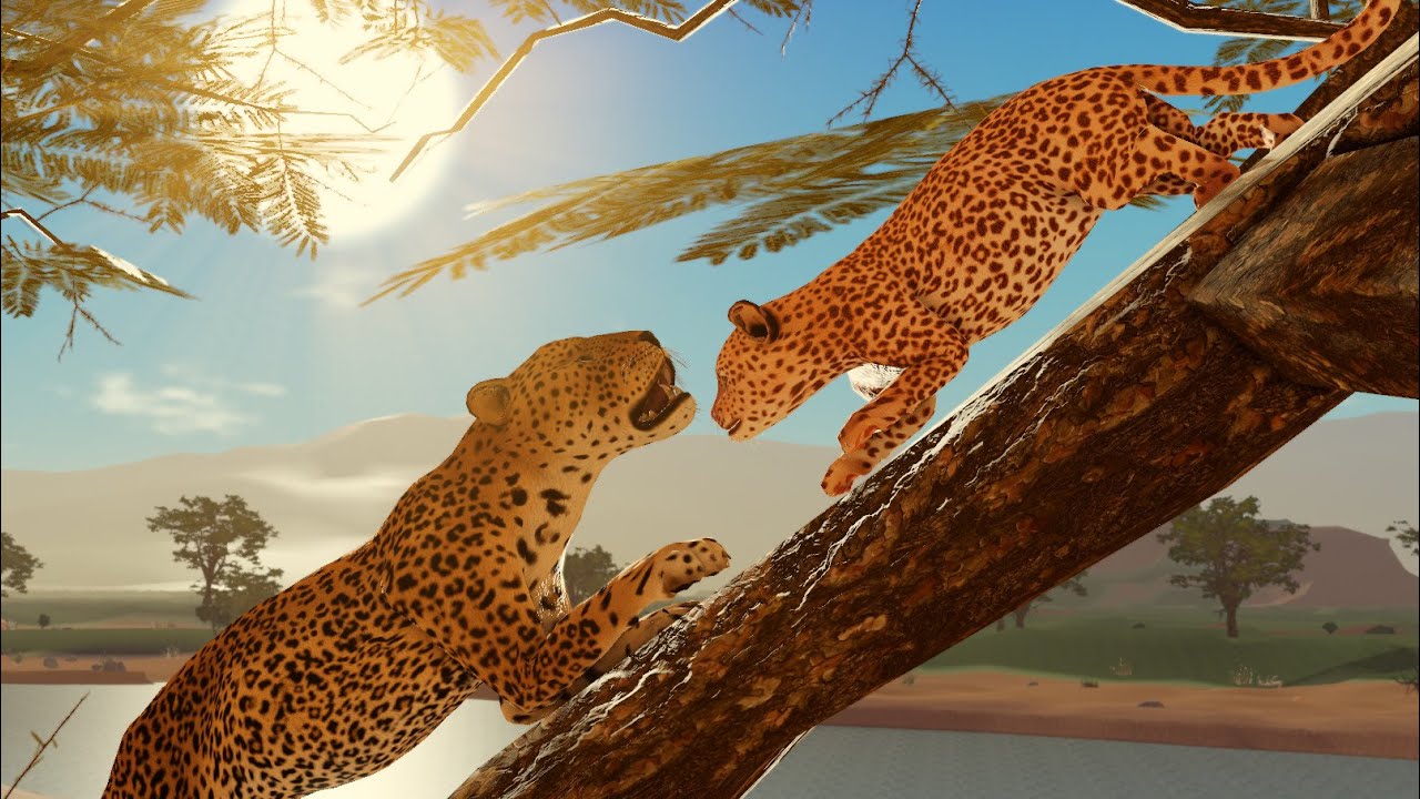 Savannah Life Leopard Preview