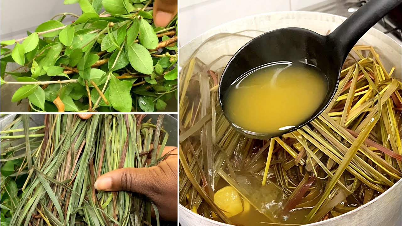 Африканское растительное средство от малярийной лихорадки | AGBO IBA