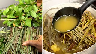 African Herbal Remedy For Malaria Fever Agbo Iba