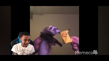 Throwback to Flight vibing with a Ferret 🤣 