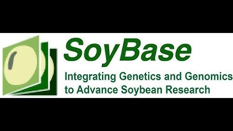 Soybean genome browser (SoyBase)