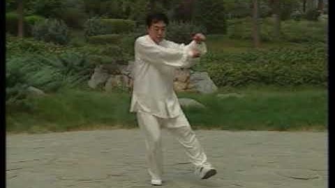 Xing Yi chuan / Five Elements Fists and 12 Animals Fist (Part 2)