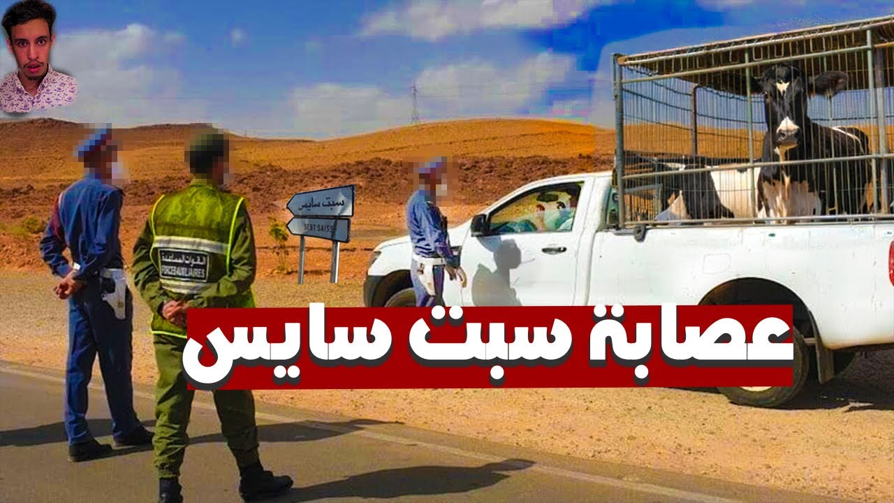 ها كيفاش طاحو الجوندارم على أخطر عصابة في سبت سايس.. بسباب بزناز !؟