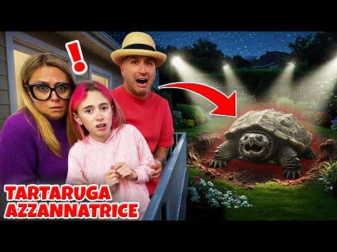 Video UNA TARTARUGA AZZANNATRICE ENTRA IN CASA NOSTRA E ATTACCA GIORGIA!