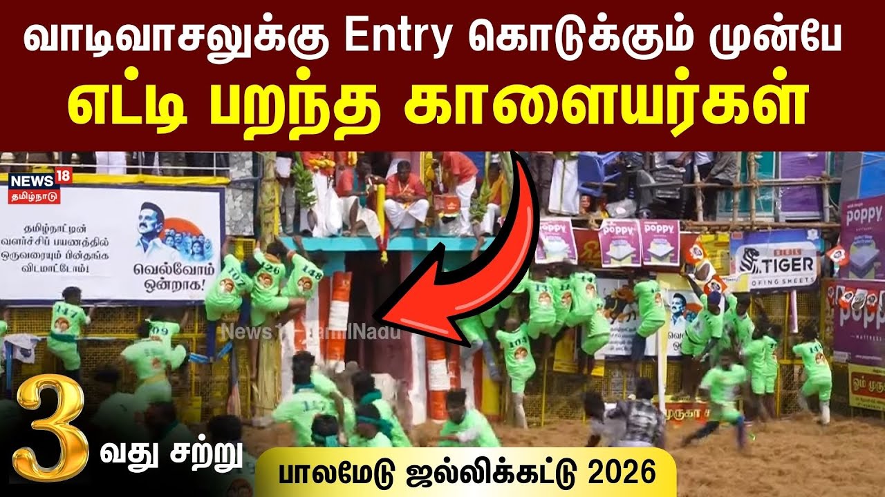 Palamedu Jallikattu 2026 | Round 3 | வாடிவாசலுக்கு Entry கொடுக்கும் முன்பே எட்டி பறந்த காளையர்கள்