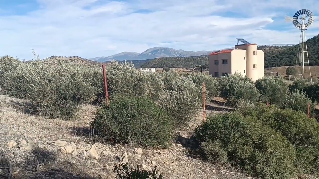 فيرما للبيع مغروسة 5000 زيتون على واد  بئر. ڨيلا  دار عساس أرض بصلة و بطاطس 0679444657 عند جمال وسيط