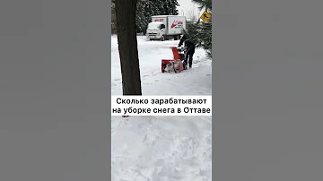 Какая организация отвечает за уборку снега