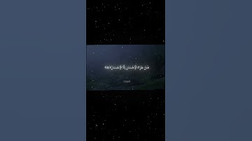 سورة الرحمن|58-61|القارئ:#محمد_اللحيدان #قران #quran #راحة_نفسية #قران_كريم #تلاوة_هادئة#تلاوة_خاشعة