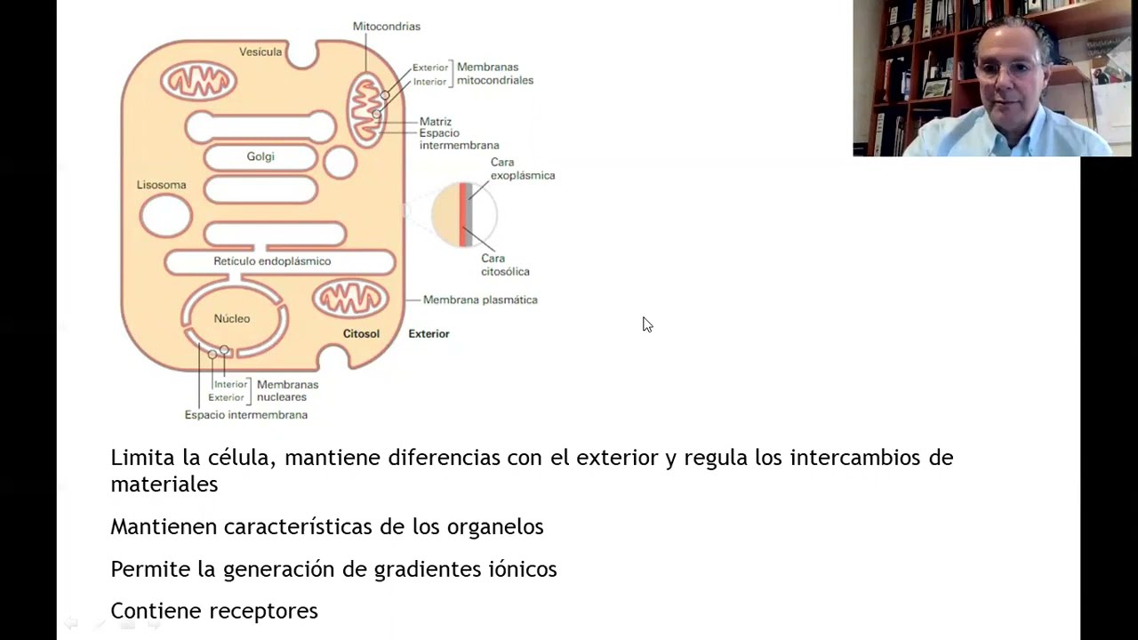BCM - T1a - Membranas biológicas (Parte 1)