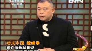 天涯共此时20130528 功夫中国螳螂拳HD高清完整版