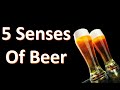 Your 5 senses and beer beer by the numbers
