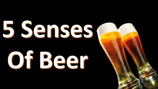 Your 5 Senses and Beer: Beer by the Numbers 5 Historical Drinking Games Beer By The Numbers