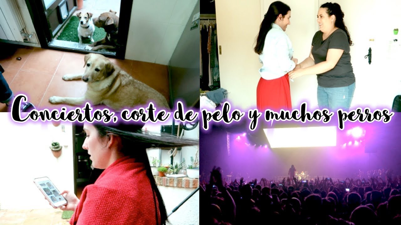 Conciertos, corte de pelo y muchos perros · WEEKLY VLOG | Christine Hug vlogs in spanish