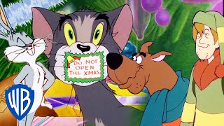 Мульт LIVE CLASSIC FESTIVE MOMENTS FROM SCOOBYDOO LOONEY TUNES TOM JERRY WB KIDS