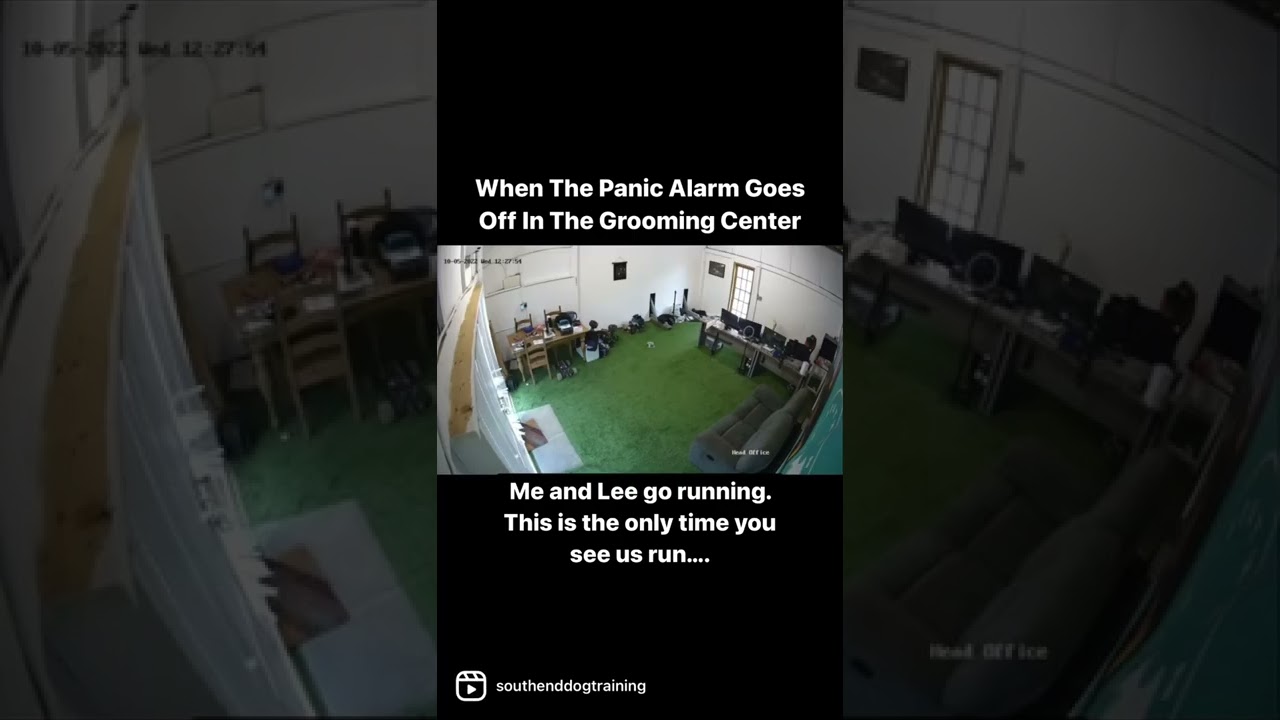 When The Panic Alarm Goes Off At Work