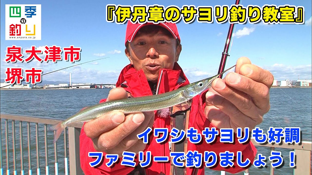 イワシもサヨリも好調　ファミリーで釣りましょう！（四季の釣り/2020年11月20日放送）
