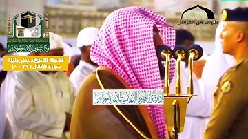 على مقام السيكا يمتع المصلين | سورة الأنفال : ٣٦ - ٤٠ | فضيلة الشيخ د.بندر بليلة
