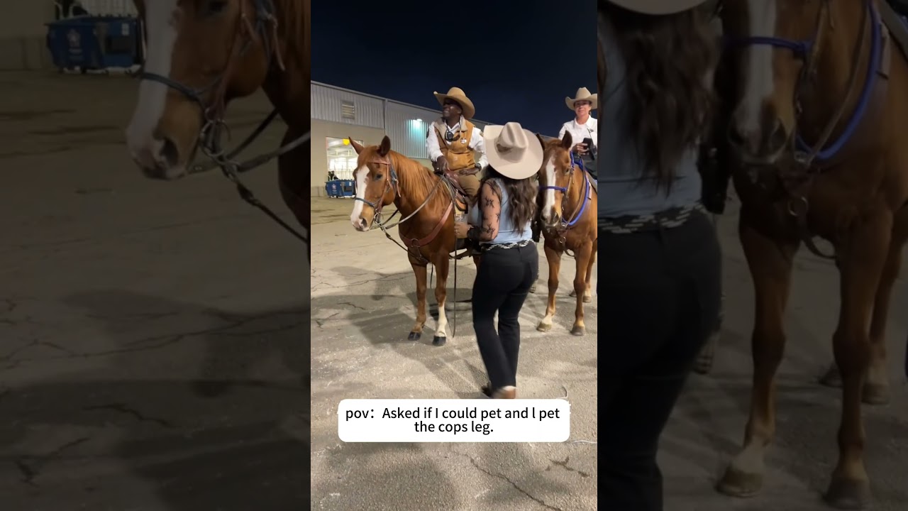 Can I pet #cop #pet #police #funny #horse