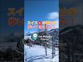 スイスの雪山を歩く【スノーシューイング】in Les Pléiades