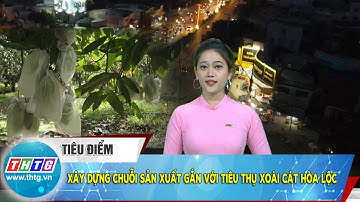 Xây dựng chuỗi sản xuất gắn với tiêu thụ xoài cát Hòa Lộc