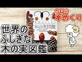 今日の本めくり〈創元社〉～『世界のふしぎな木の実図鑑』～